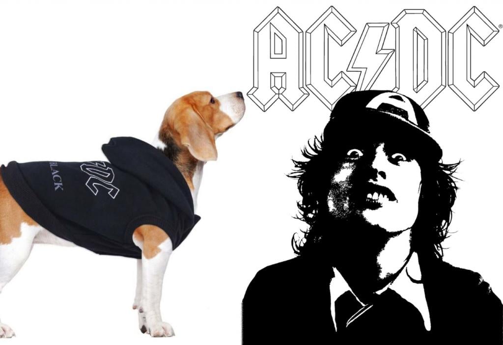 AC/DC - Dog Hoodie - S