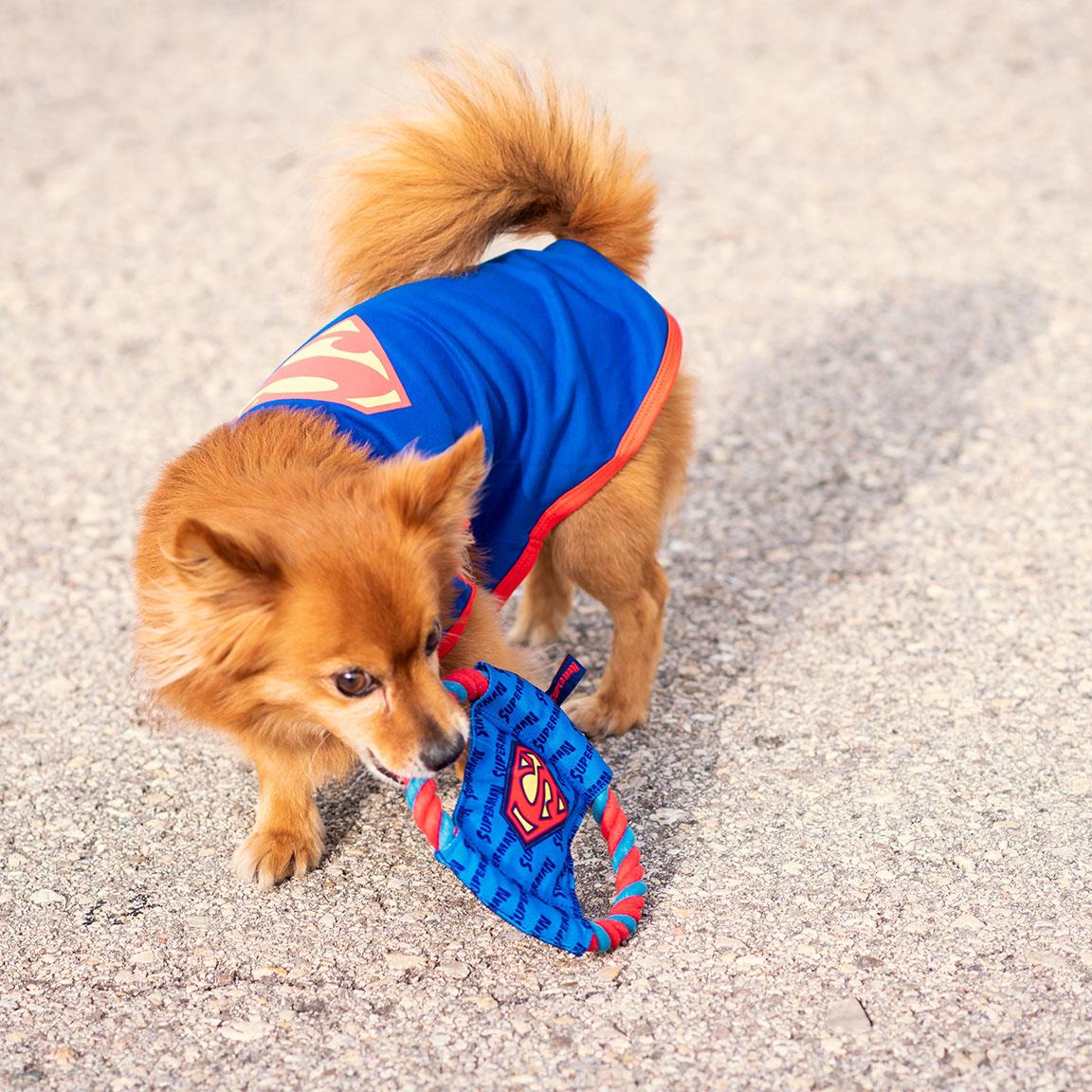 SUPERMAN - Rope Theething Toy for Dog