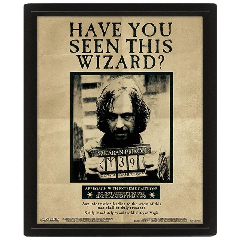 HARRY POTTER - 3D-Linsenraster-Poster 26X20 - Potter / Sirius