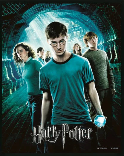HARRY POTTER – Orden des Phönix – 3D-Linsenraster-Poster 26X4