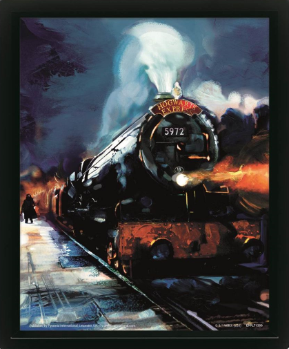 HARRY POTTER - Hogwarts Express - 3D Lenticular Poster 29x24x4cm