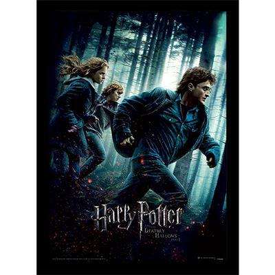 HARRY POTTER - Deathly Hollows Part 1 - Collector Print 30x40cm