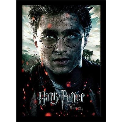 HARRY POTTER - Deathly Hollows Part 2 "Harry"- Collector Print 30x40cm