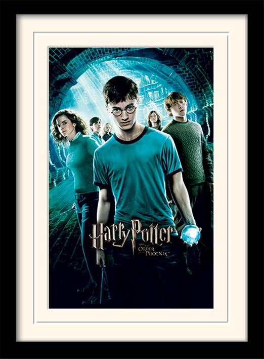 HARRY POTTER - Mounted & Framed 30X40 Print - Order of The Phoenix