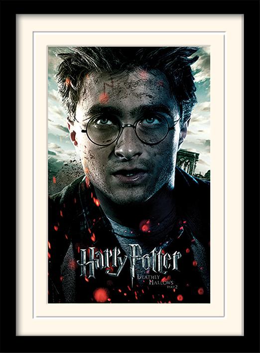 HARRY POTTER - Mounted & Framed 30X40 Print - Deathly Hallows Part2
