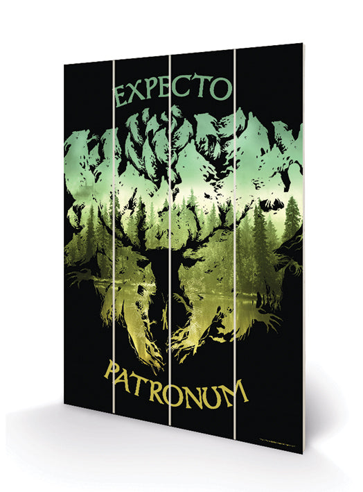 HARRY POTTER – Holzdruck 20 x 29,5 – Expecto Patronum