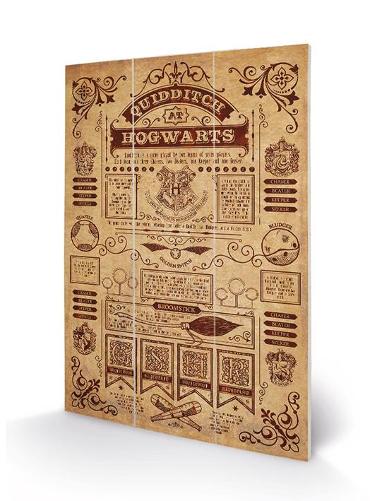 HARRY POTTER - Wood Print 20x29.5 - Quidditch at Hogwarts