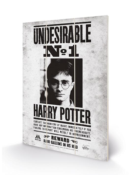 HARRY POTTER - Wood Print 20x29.5 - Undesirable No1