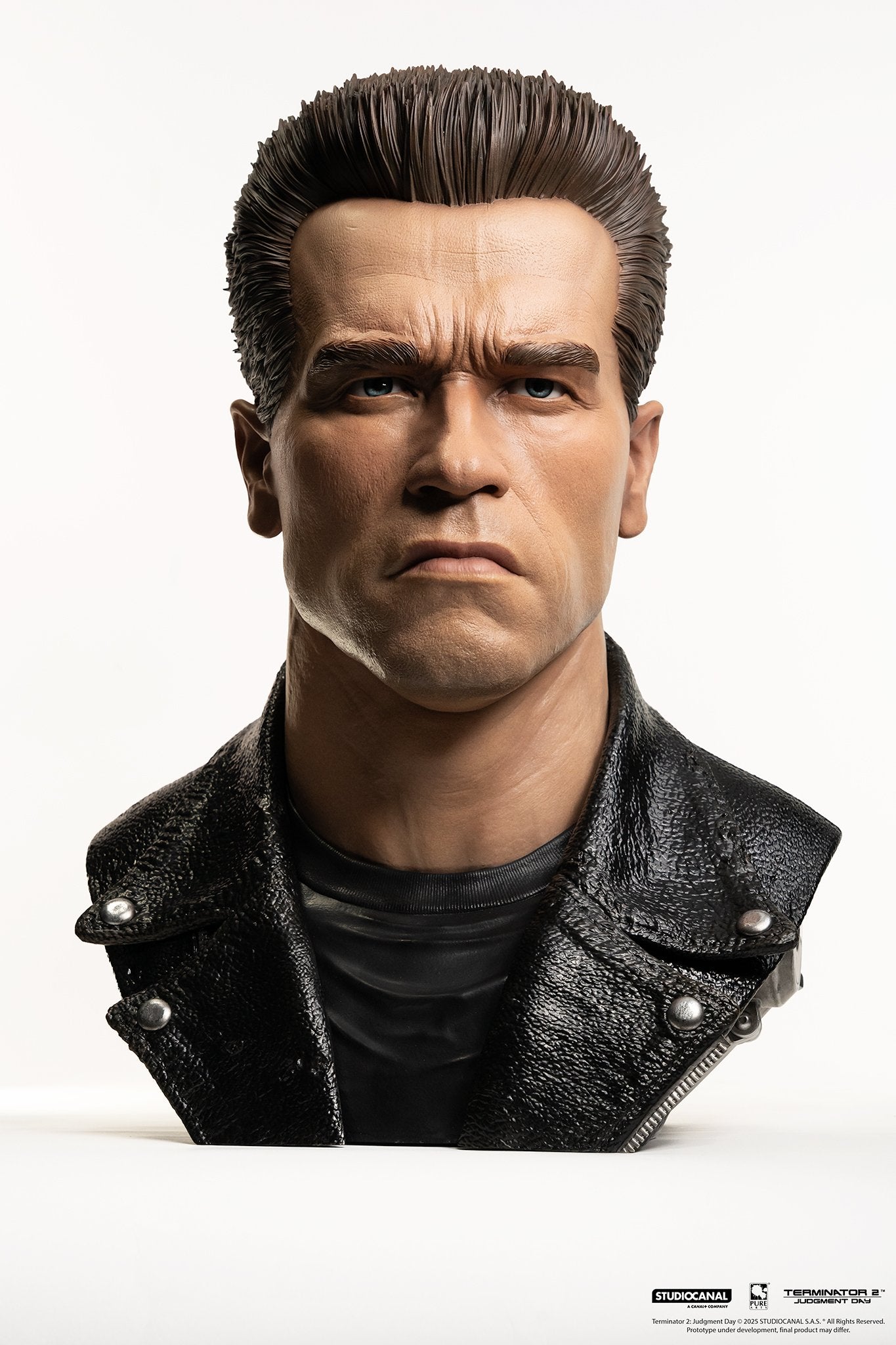 TERMINATOR 2 - T-800 Model 101 - Scale Art Mask 1/1 47cm