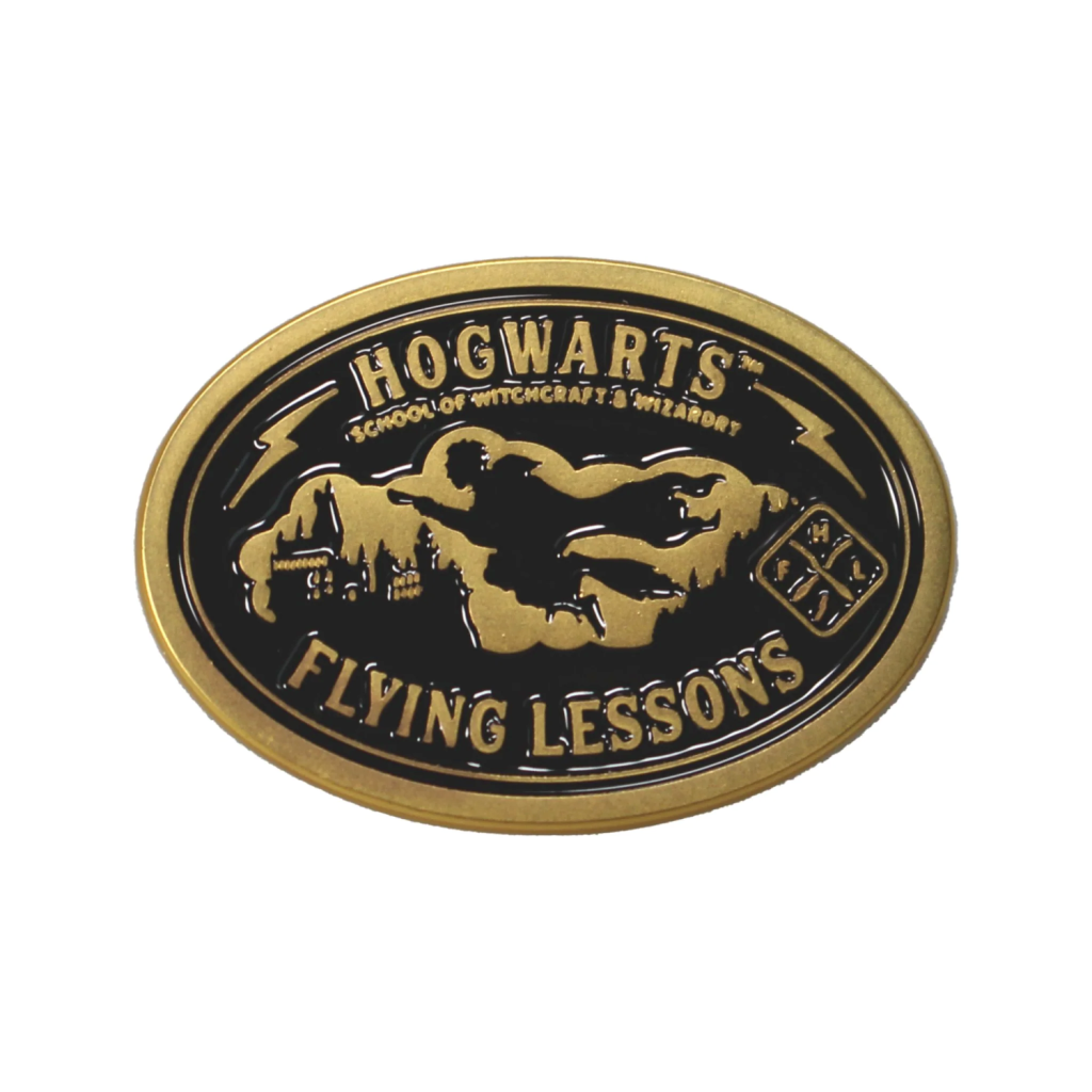 HARRY POTTER - Flying Lessons - Pins