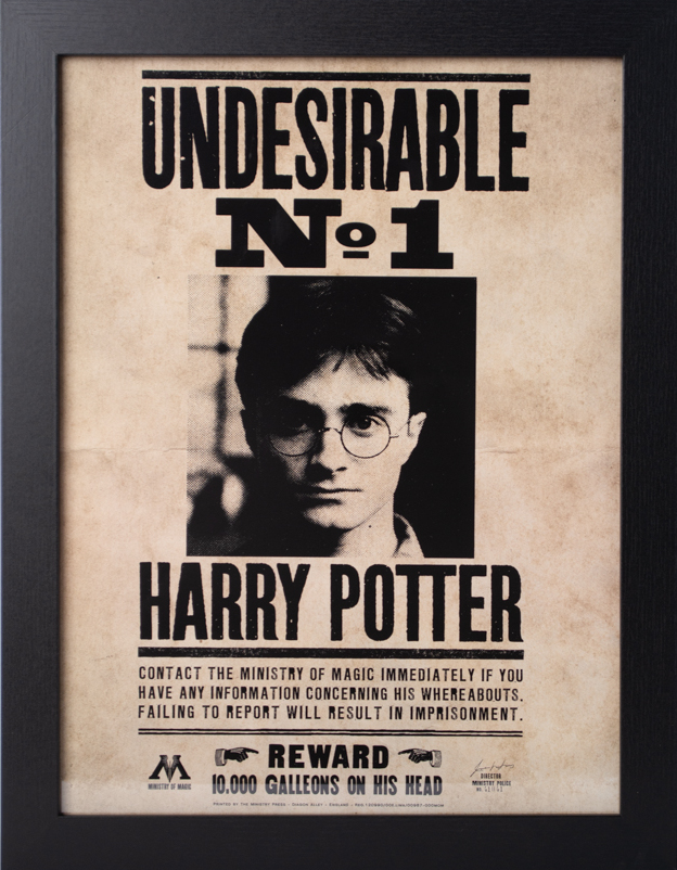 HARRY POTTER - Undesirable N°1 - Collector Print '30x40cm'