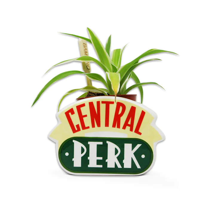 FRIENDS - Central Perk - Plant Pot