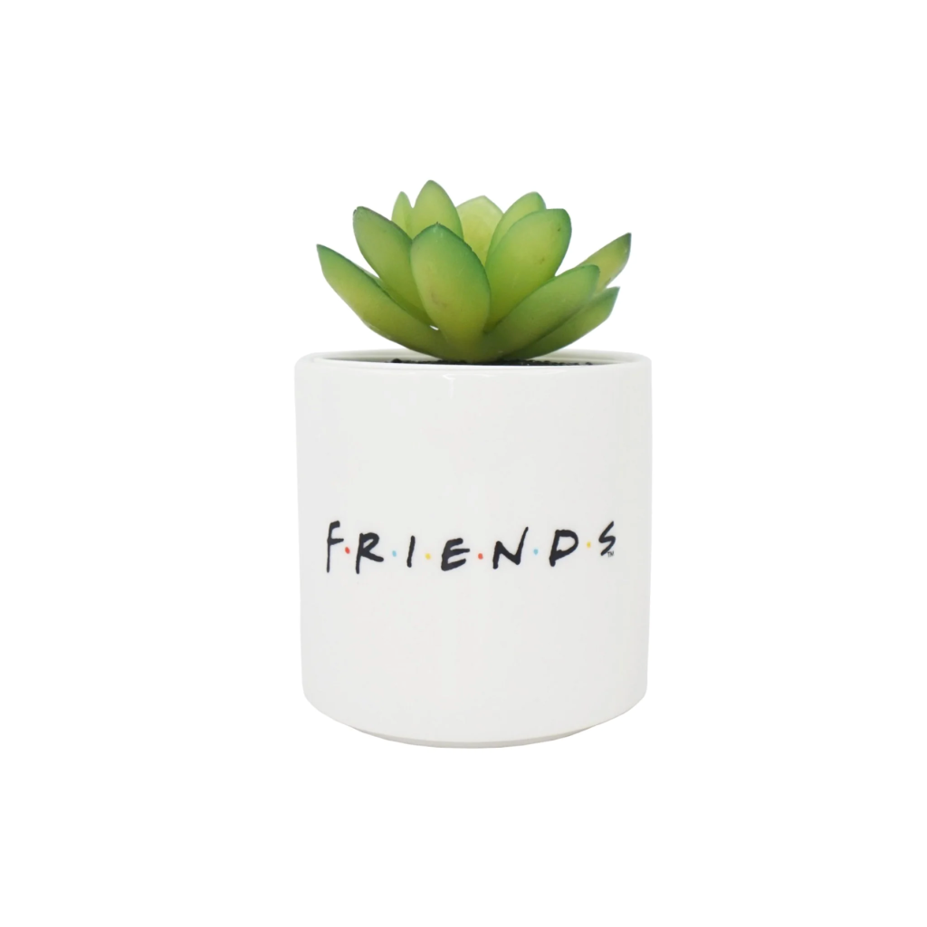 FREINDS - Central Perk - Faux Plant Pot 6.5cm