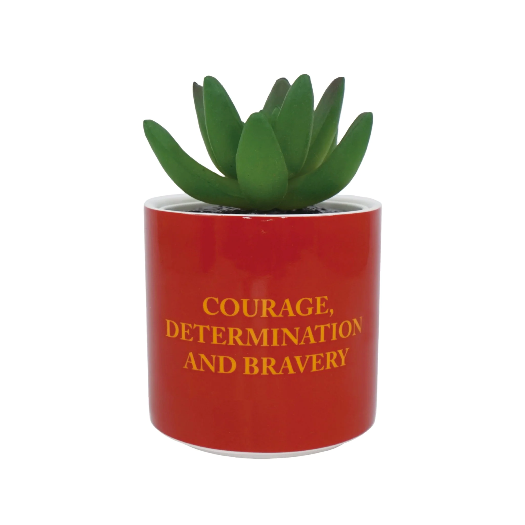 HARRY POTTER - Gryffindor - Faux Plant Pot 6.5cm