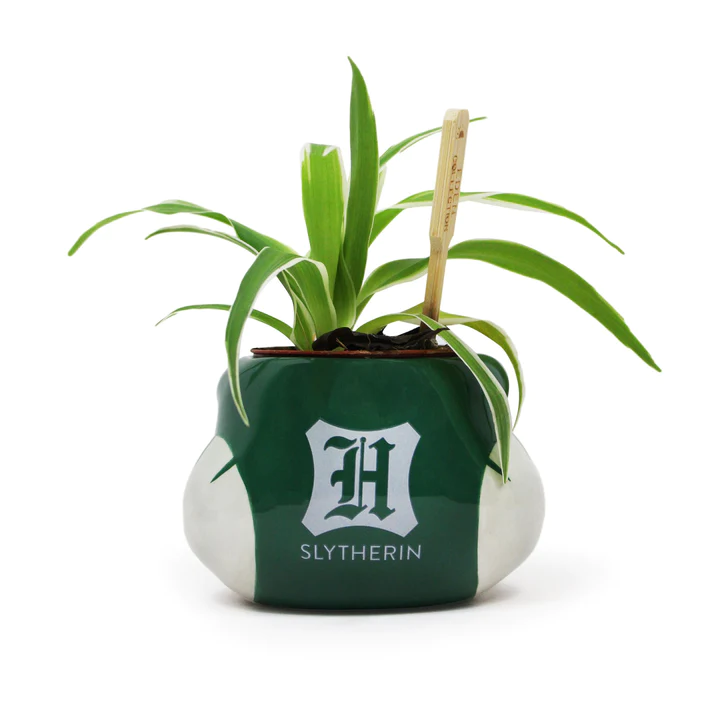 HARRY POTTER - Slytherin - Plant Pot