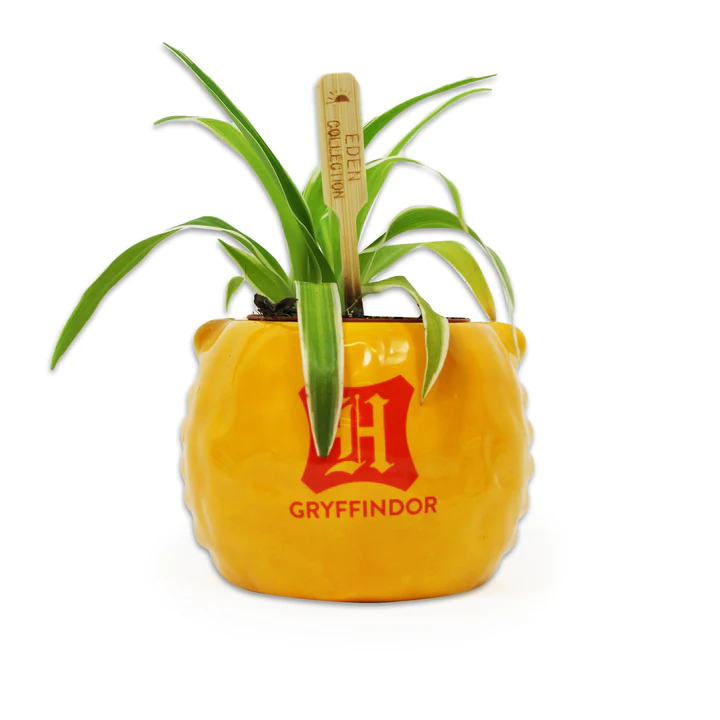 HARRY POTTER – Gryffindor – Blumentopf