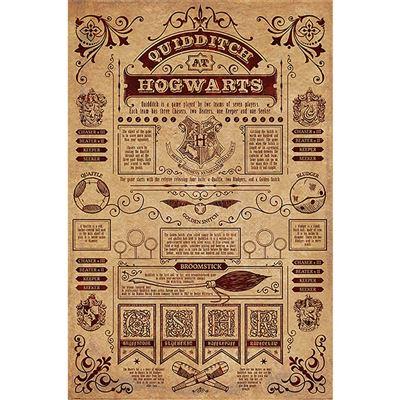 HARRY POTTER - Quidditch at Hogwarts - Poster 61 x 91cm