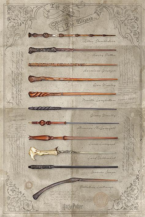 HARRY POTTER - Poster 61x91 - The Wand chooses the Wizard