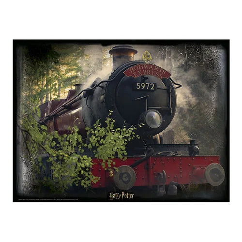 HARRY POTTER - Hogwarts Exp. - Lenticular Puzzle 3D 500P '61x46cm'