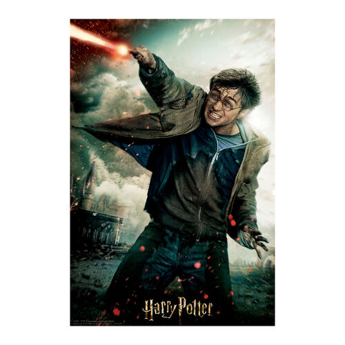 HARRY POTTER - Harry - Lenticular Puzzle 3D 300P '46x31cm'