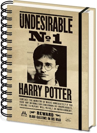 HARRY POTTER - Sirius & Harry - Notebook A5 3D