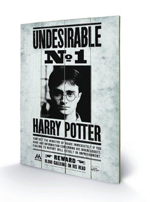 HARRY POTTER - Printing on wood 40X59 - Undesirable N° 1