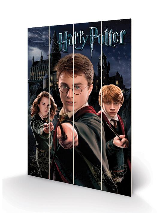 HARRY POTTER - Wood Print 40x59cm - Harry Ron & Hermione
