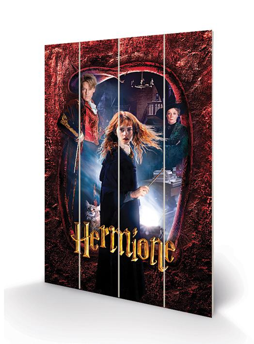 HARRY POTTER - Wood Print 40x59cm - Hermione