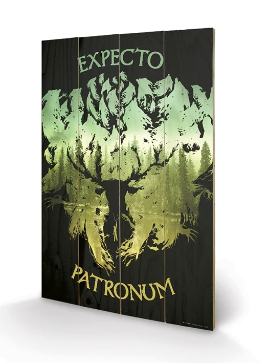 HARRY POTTER – Impression sur Bois 40X59 – Expecto Patronum