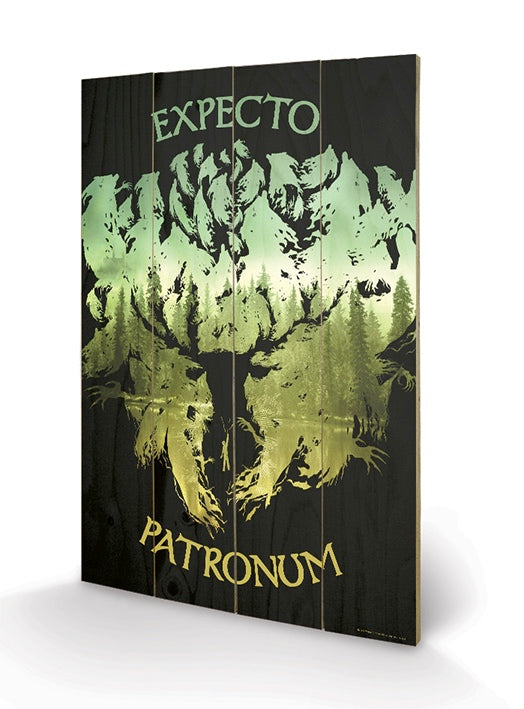 HARRY POTTER – Impression sur Bois 40X59 – Expecto Patronum