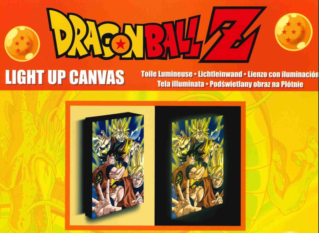 DRAGON BALL Z - Goku Evolution - Light Canvas 40X30 Cm