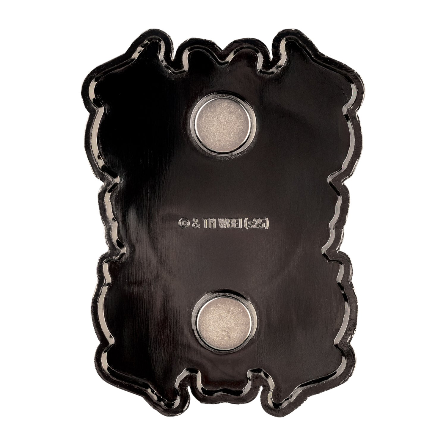 HARRY POTTER - Wingardium Leviosa - 'Glow in the Dark' Metal Magnet