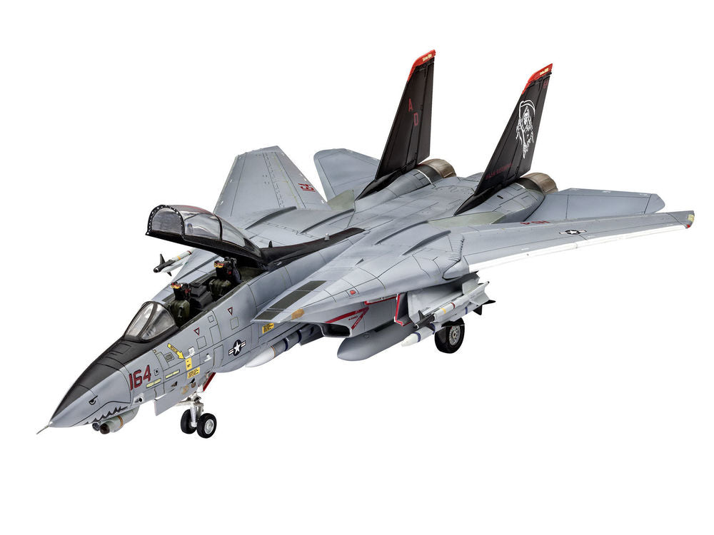 Grumman F-14D Super Tomcat