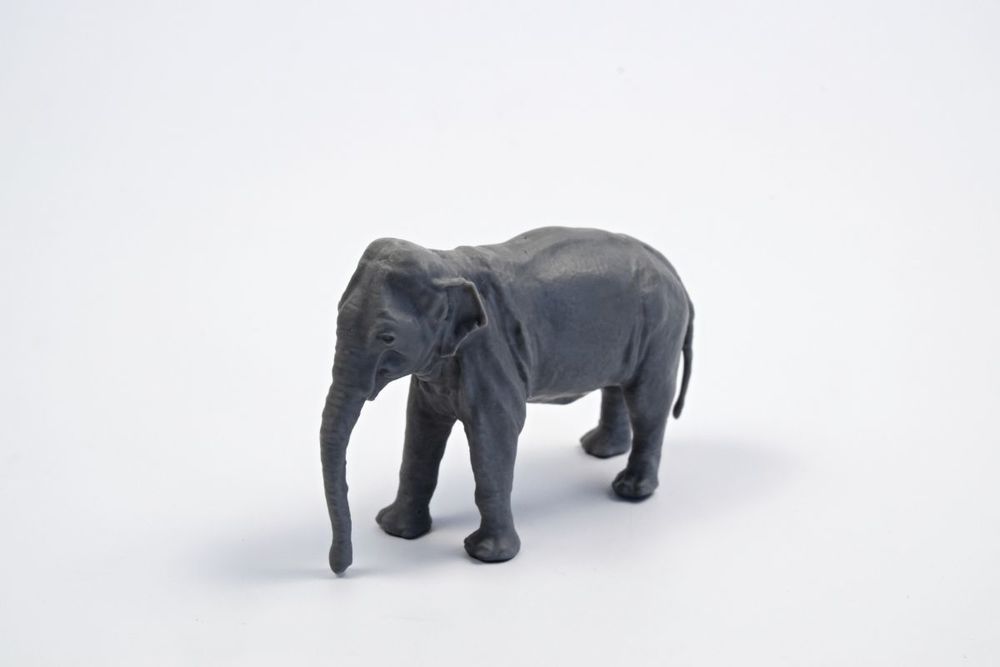 Asian Elephant (1 figure)