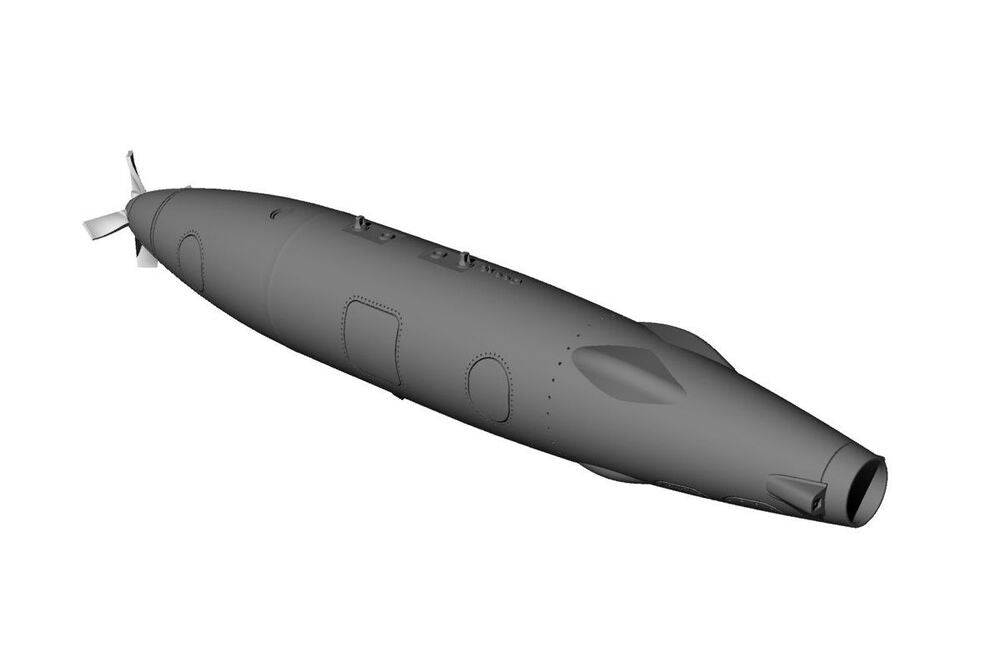 D-704 buddy Tank early type (��60-��70)