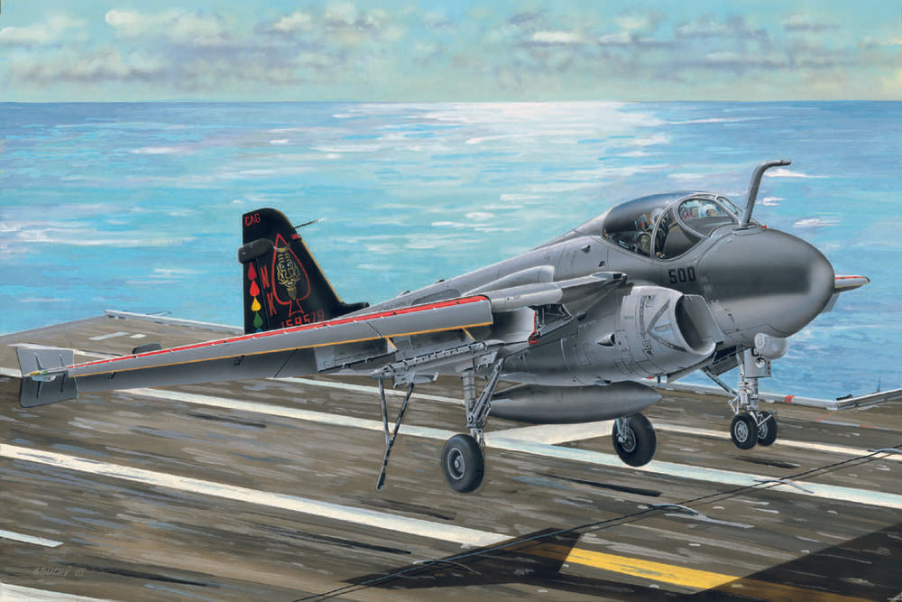 A-6E/TRAM INTRUDER