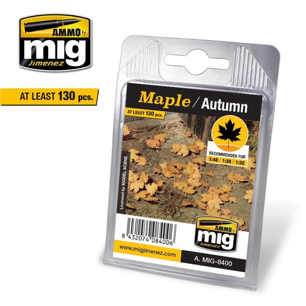 Maple - Autumn