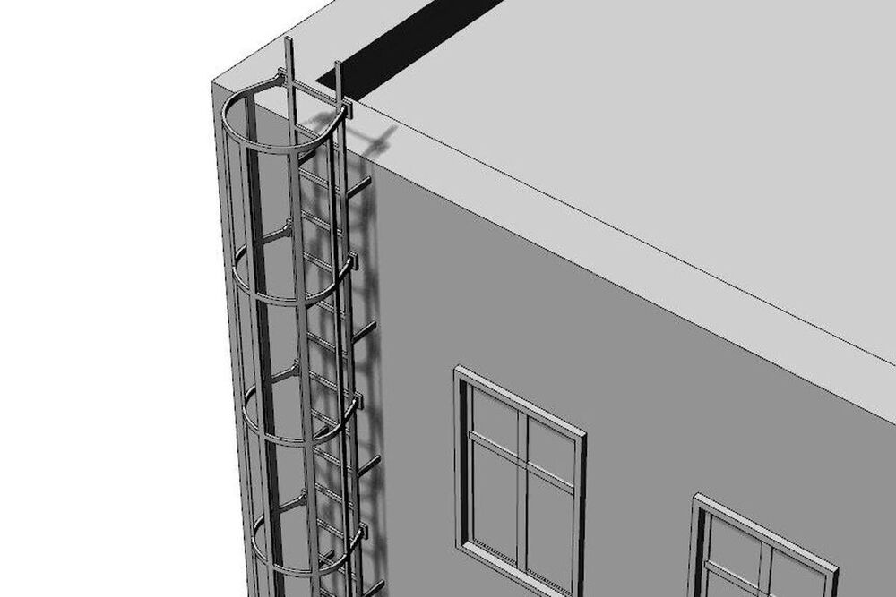 Safety cage ladders