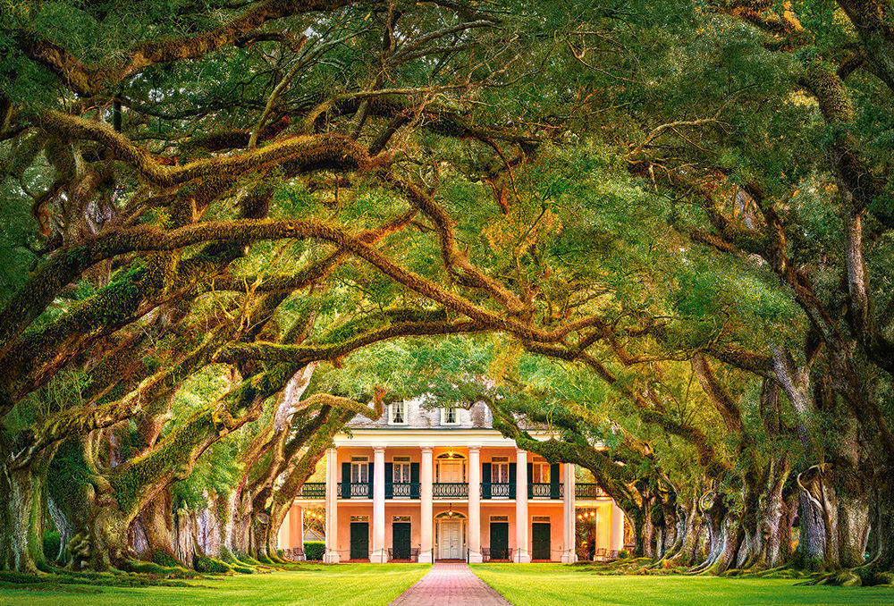 Oak Alley Plantation, Puzzle 1000 Teile