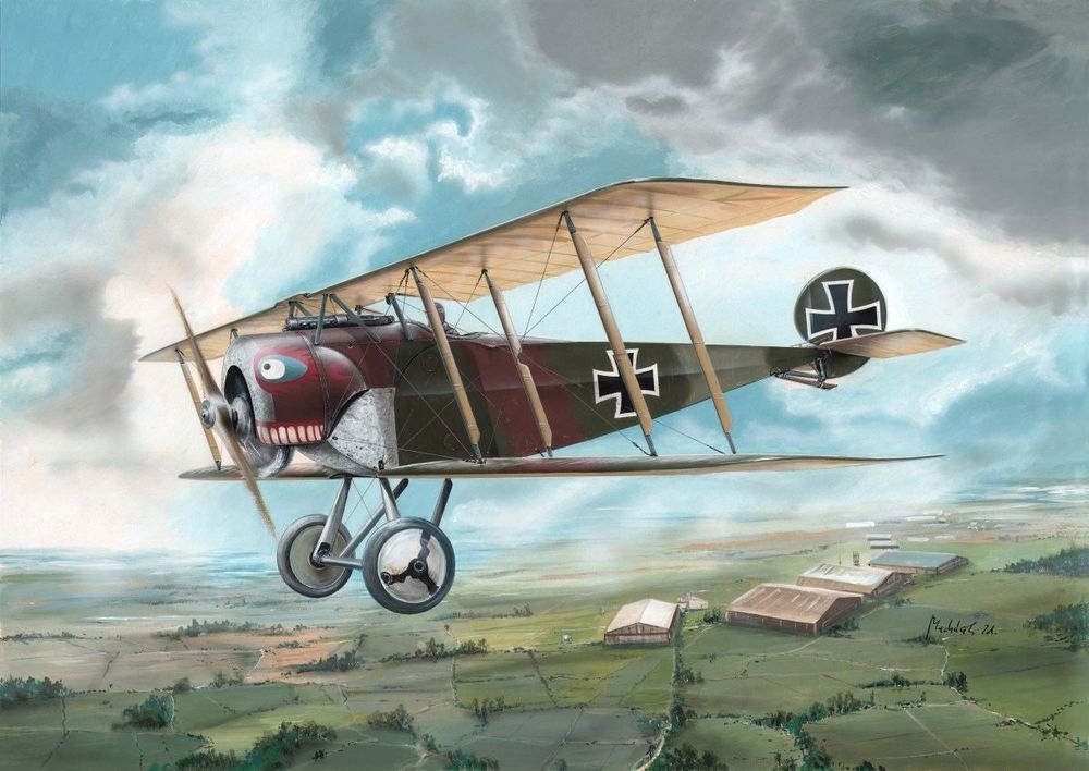 Fokker D.II Gr��nzweig's Planes