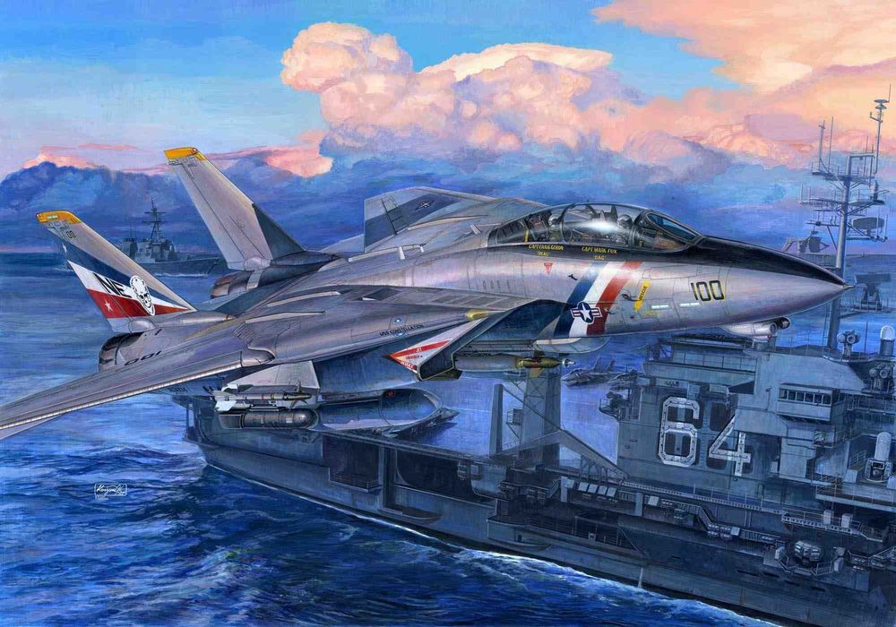 F-14D Super Tomcat