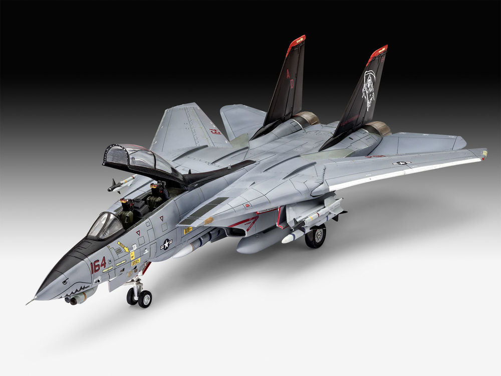 Grumman F-14D Super Tomcat