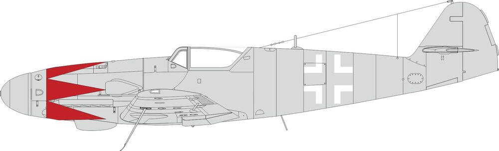 Bf 109K-4 tulip pattern & national insignia 1/48