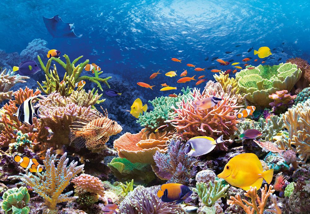 Coral Reef Fishes,Puzzle 1000 Teile