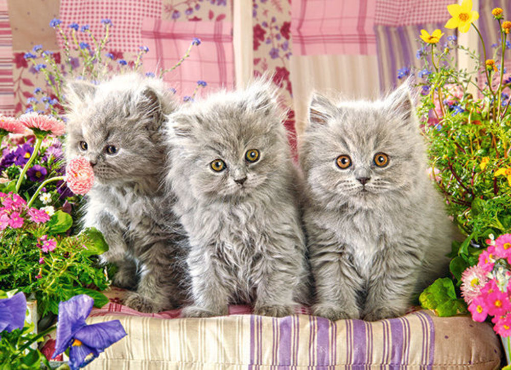 Three Grey Kittens, Puzzle 300 Teile