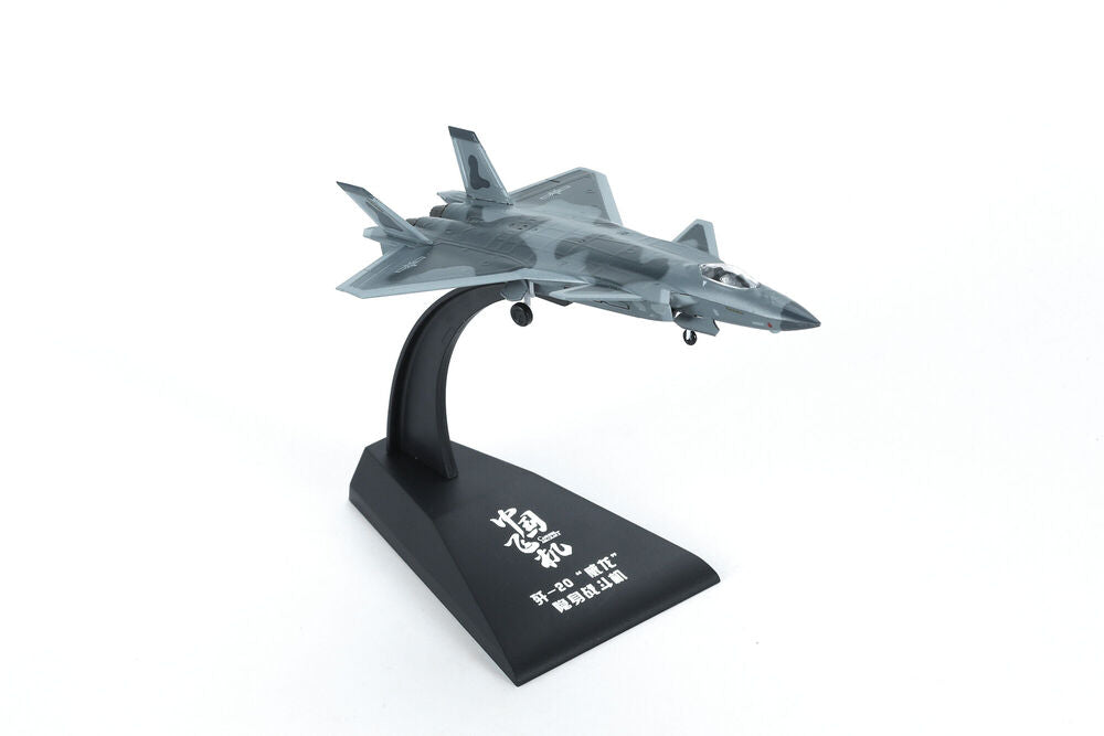 J-20 Stealth Fighter (Finished Model)