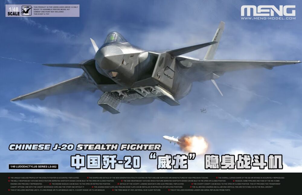 Chinese J-20 Stealth Fighter