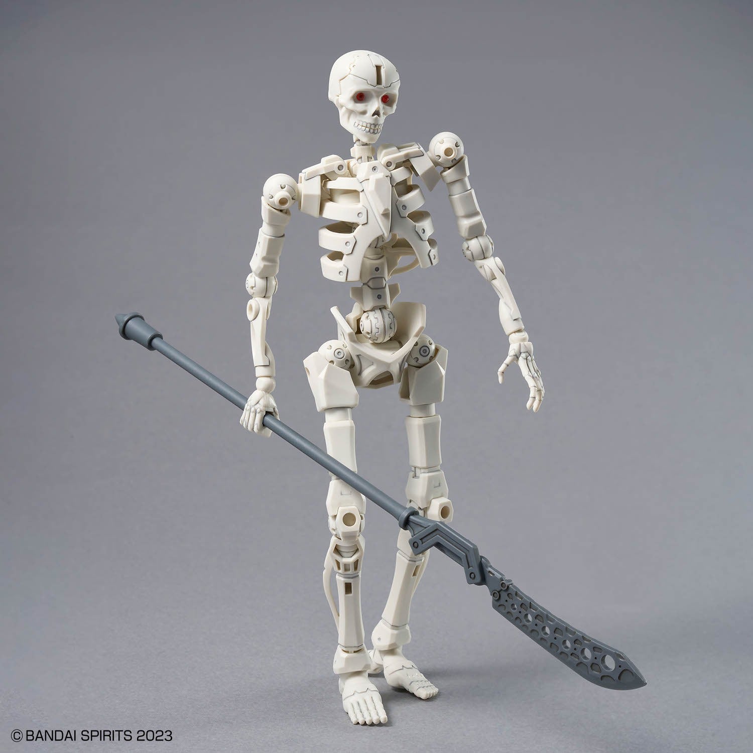 30MF DLRSkeleton