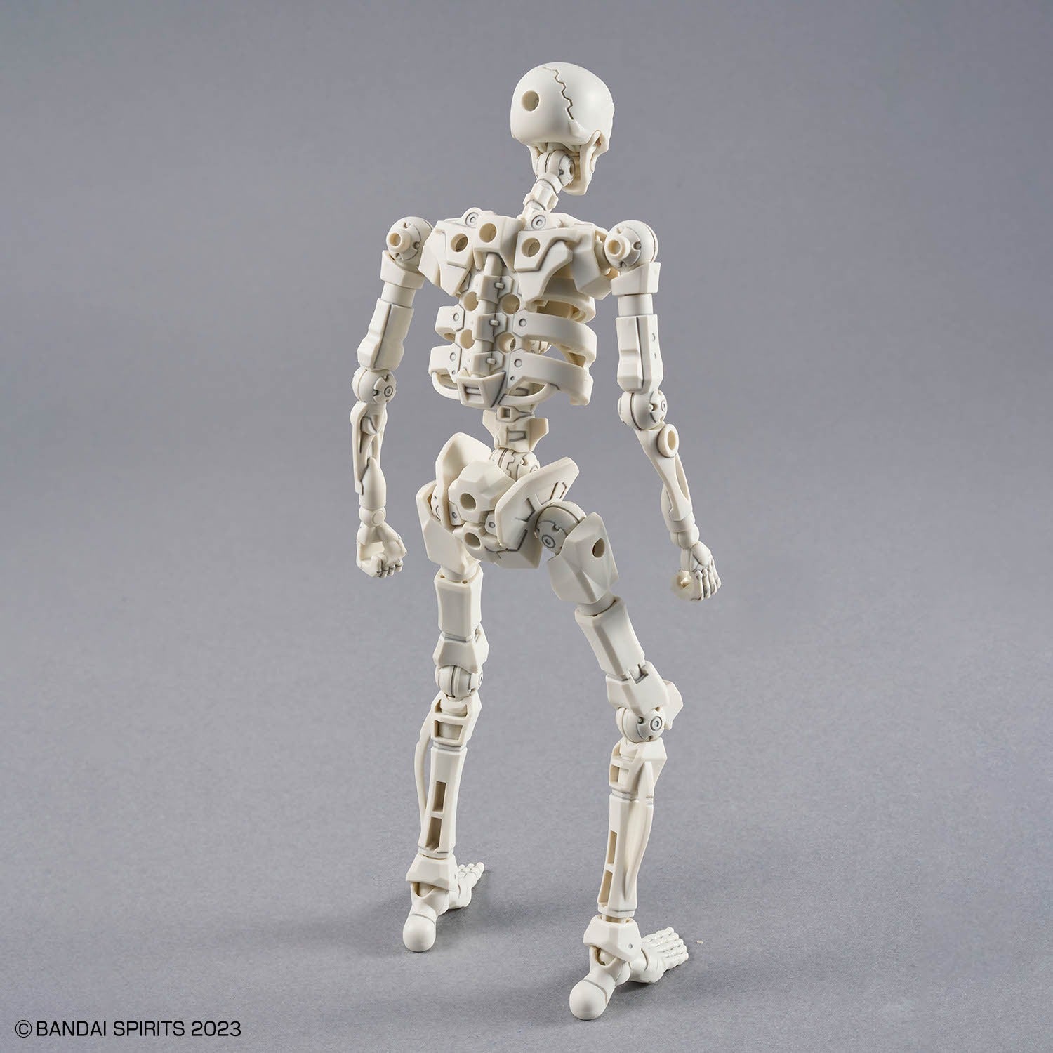 30MF DLRSkeleton