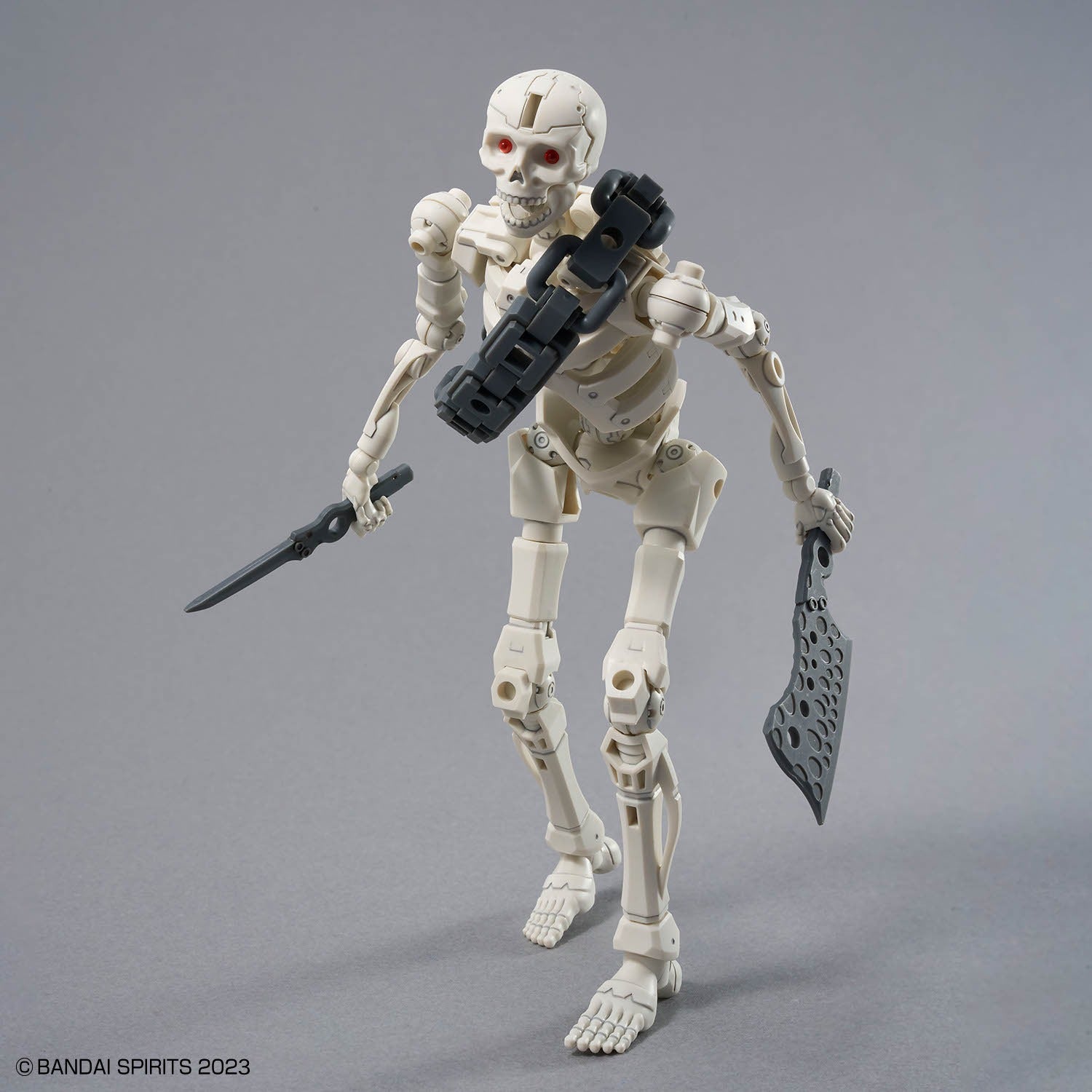 30MF DLRSkeleton